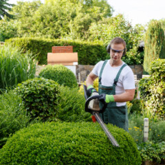 Prix d’un entretien de jardin