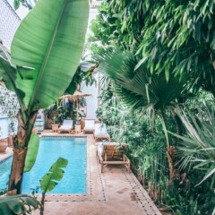 Prix d’une piscine naturelle