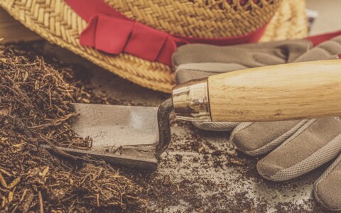 Quelle est la différence entre le terreau et le compost?